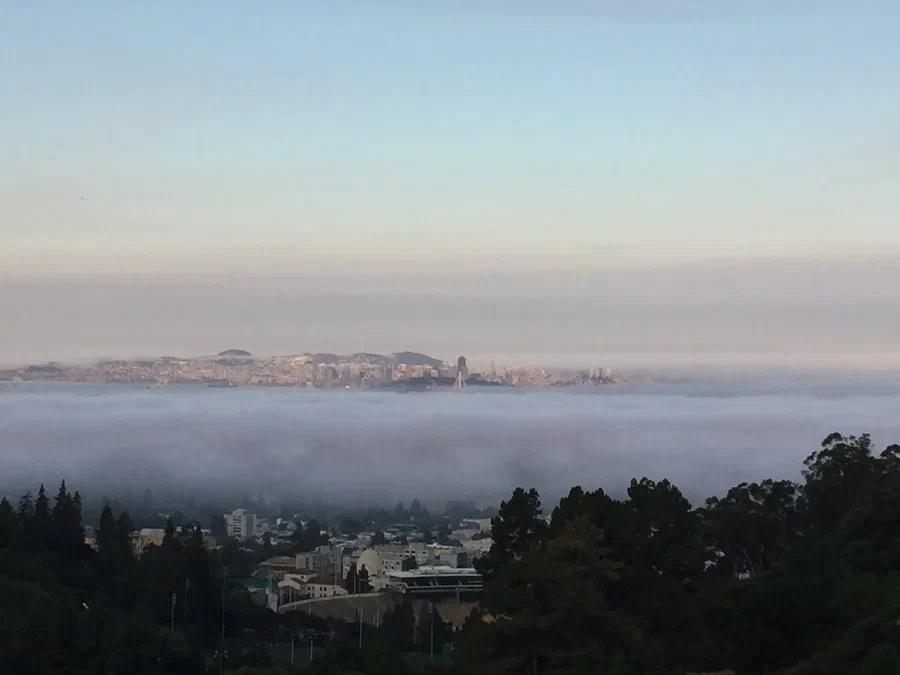 Fog over the Bay, Jul 2016