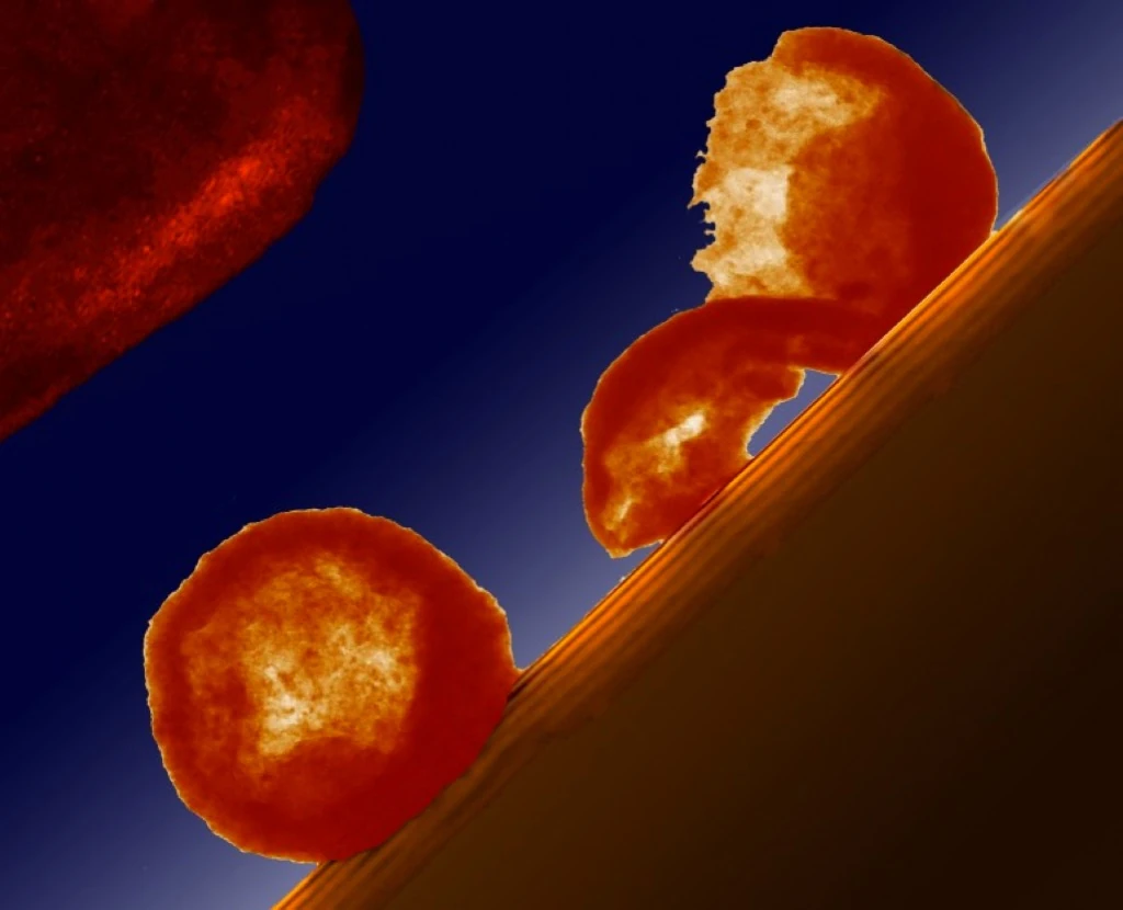 Colorized TEM image of metal nanoparticles resting on a substrate